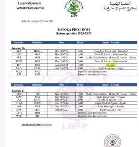 البطولة الاحترافية