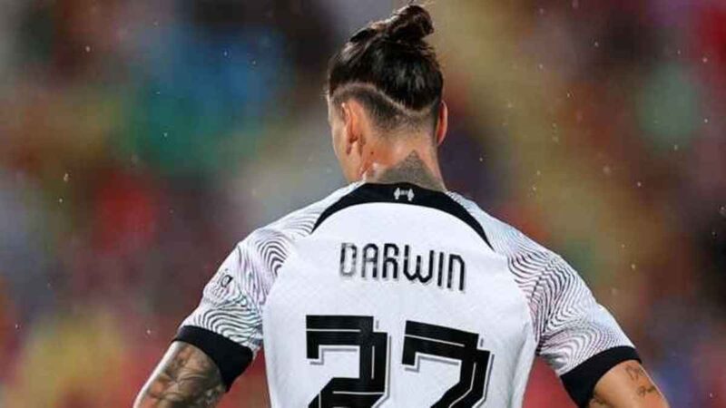 ريال مدريد مهتم بداروين نونيز