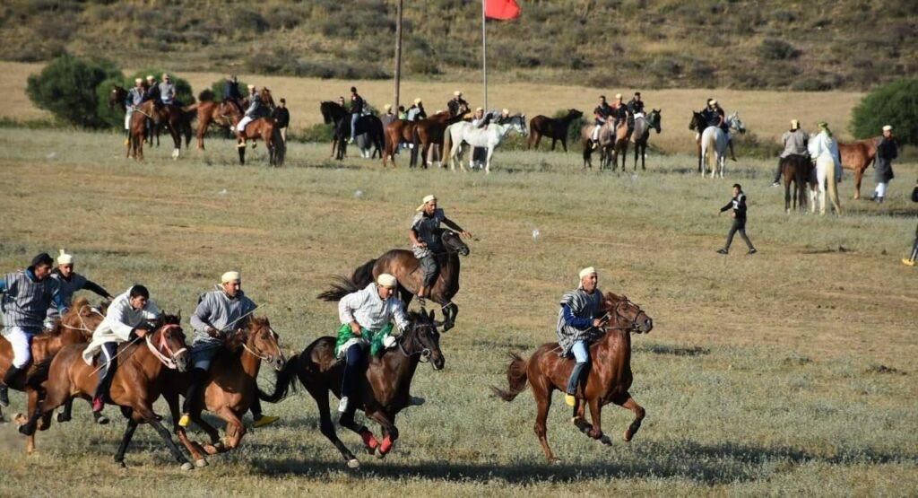 مهرجان ماطا للفروسية: تجسيد للتراث الثقافي وجسر للحوار الحضاري