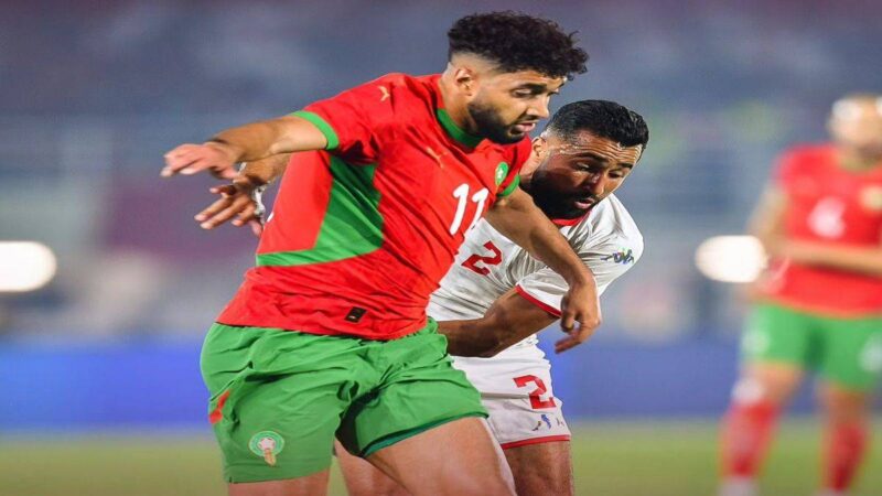 أسود الأطلس