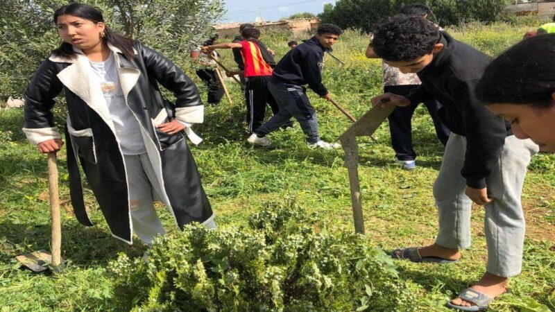 الرياضة البيئية