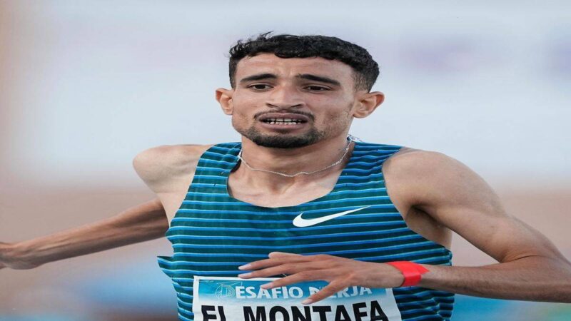 مصطفى الفايد