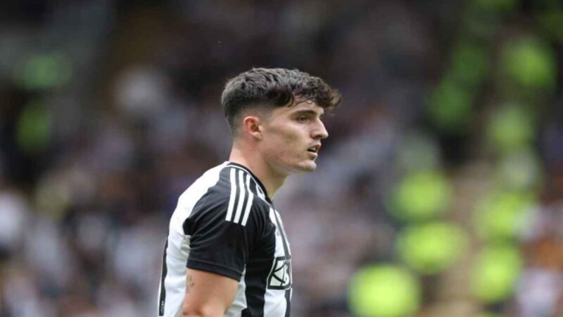 ليفرامينتو