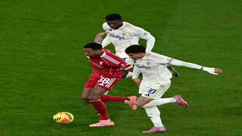 Sorry! Image not available at this time