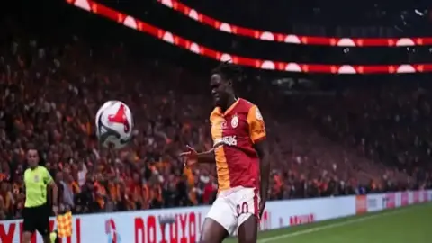 ويلفريد سينغو