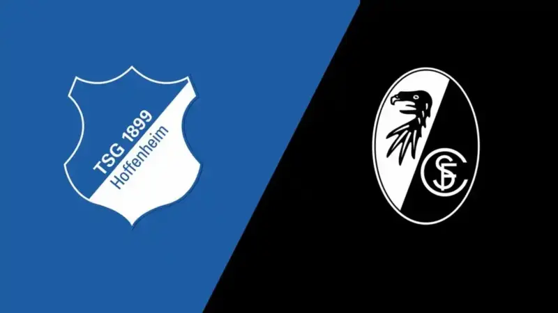 هوفنهايم ضد فرايبورج