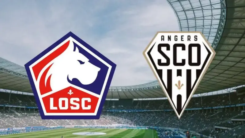 أنجيه ضد ليل