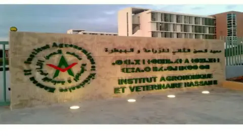 سيرك العصور يعود بقوة إلى الرباط.. دوري الصداقة الـ21 يجمع الرياضة والفن في أجواء احتفالية استثنائية